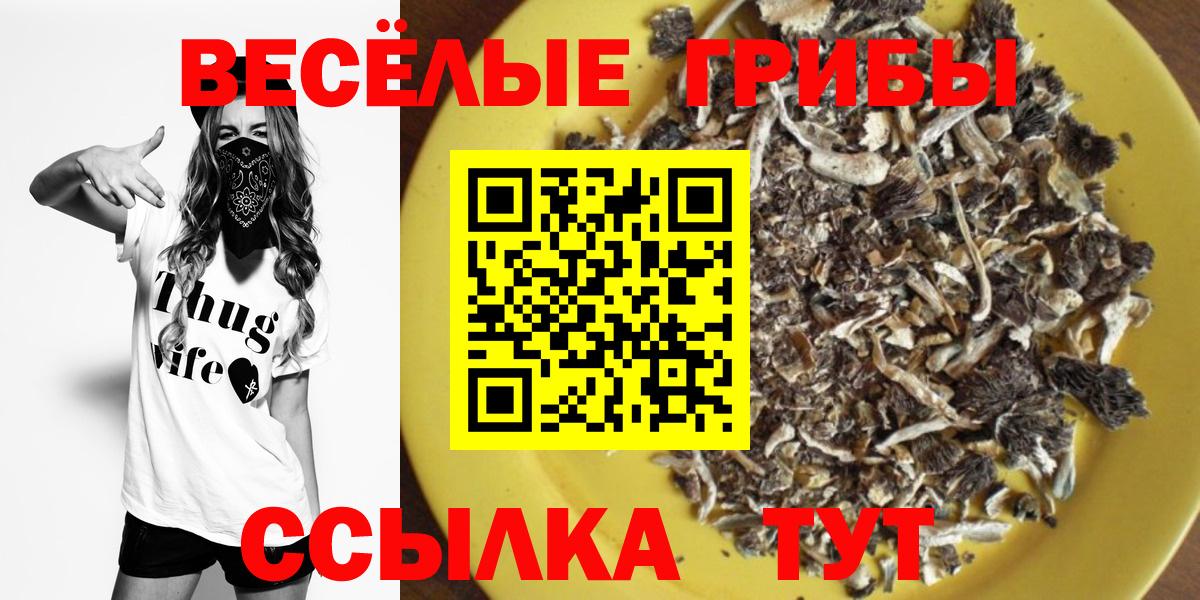 Верхний Уфалей  Псилоцибиновые грибы мухоморы  Вход с VPN 